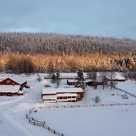 فيلا Paimentupa Kolinkylä المظهر الخارجي الصورة