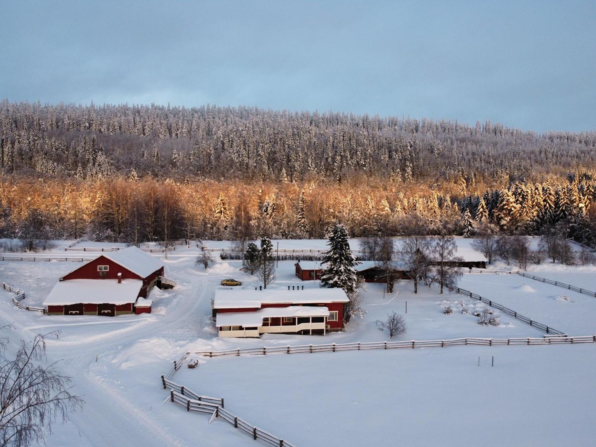 فيلا Paimentupa Kolinkylä المظهر الخارجي الصورة