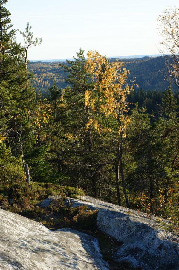 فيلا Paimentupa Kolinkylä المظهر الخارجي الصورة