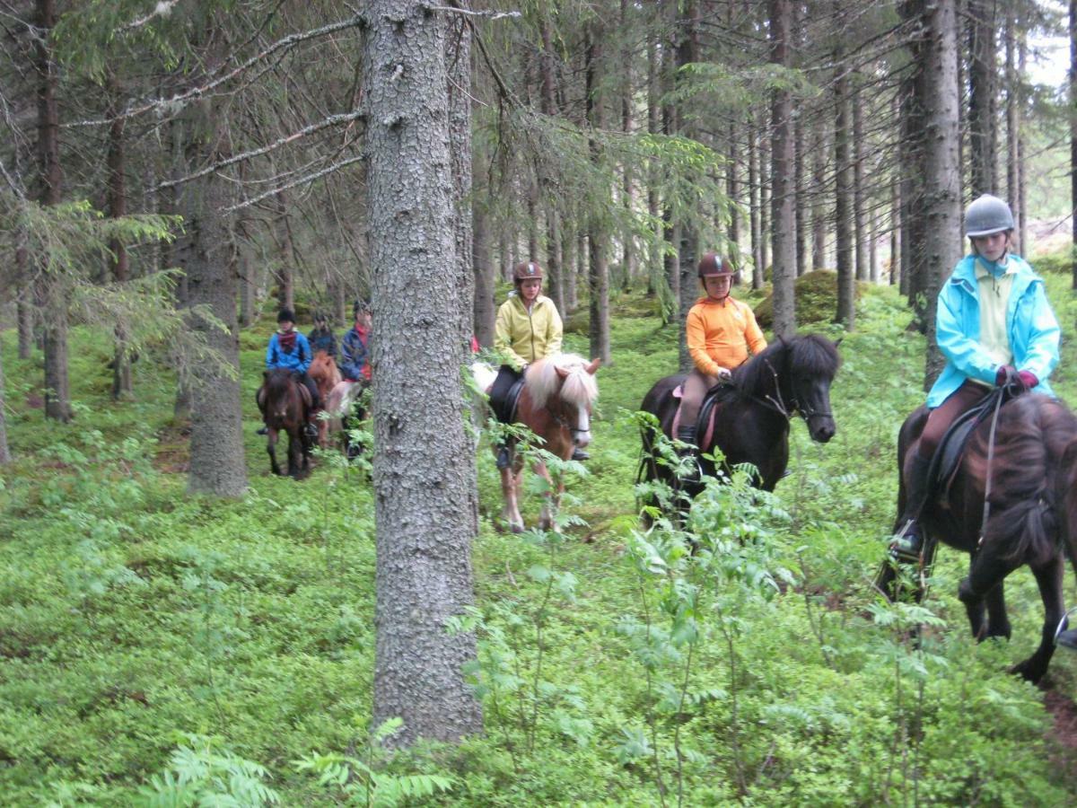 فيلا Paimentupa Kolinkylä المظهر الخارجي الصورة