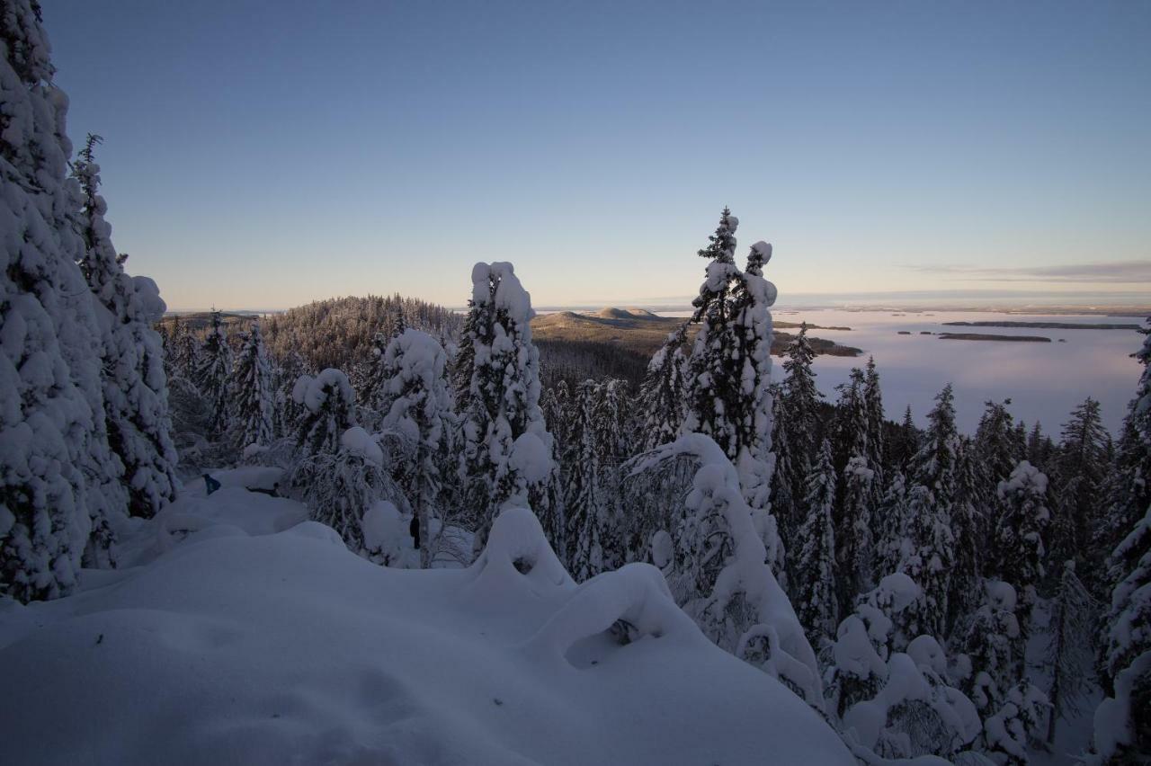فيلا Paimentupa Kolinkylä المظهر الخارجي الصورة