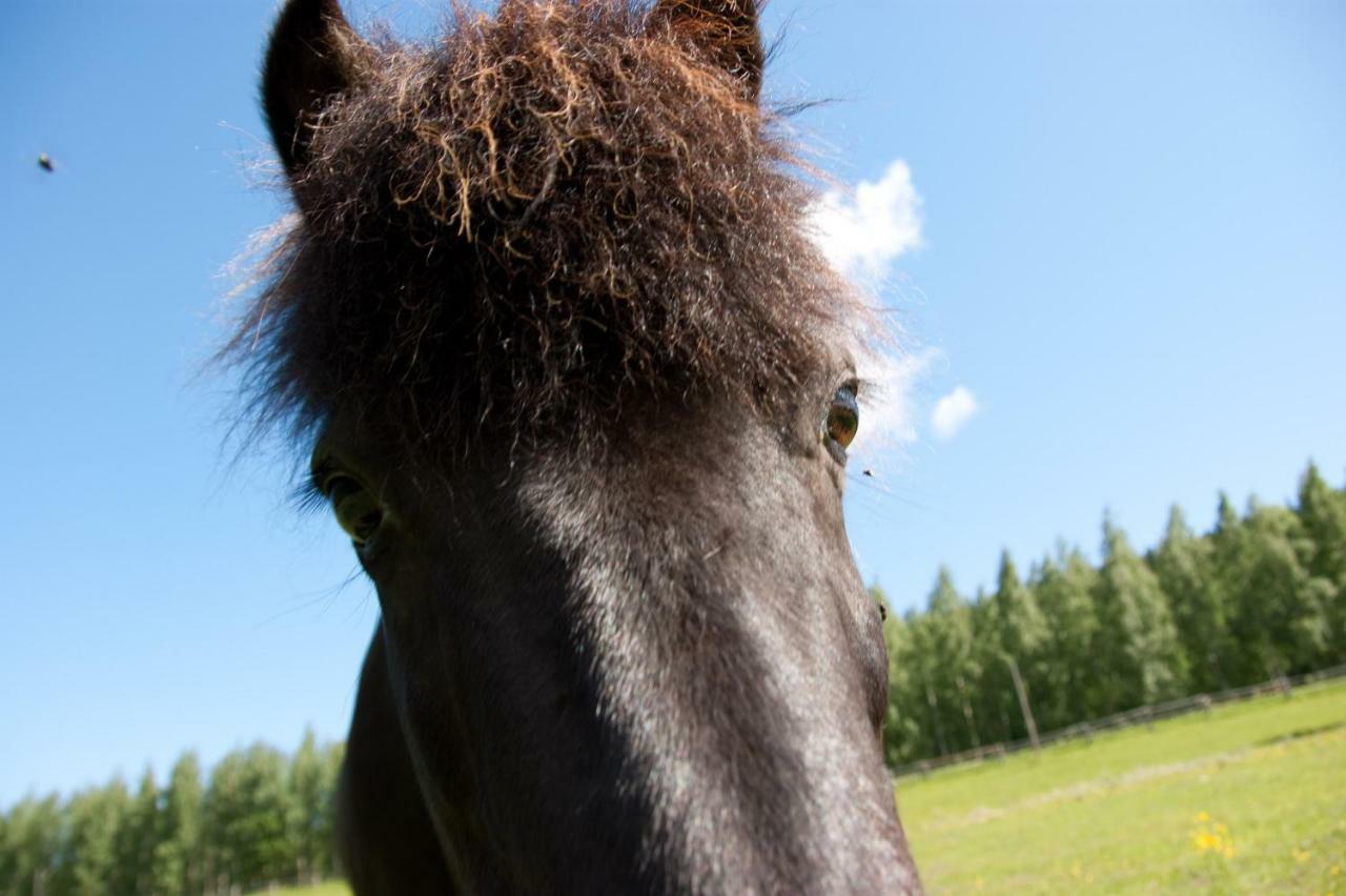 فيلا Paimentupa Kolinkylä المظهر الخارجي الصورة
