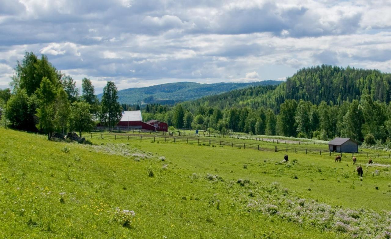 فيلا Paimentupa Kolinkylä الغرفة الصورة
